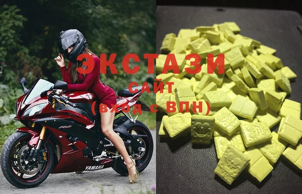 сатива Новокубанск