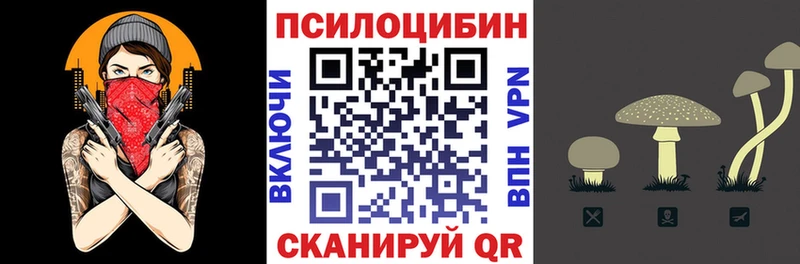 Галлюциногенные грибы Cubensis  Купить  Емва 